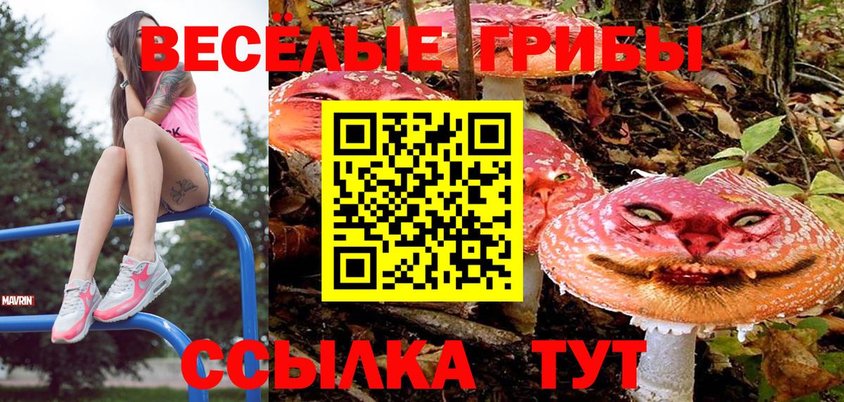 Полевской  Галлюциногенные грибы мухоморы  Галлюциногенные грибы MAGIC MUSHROOMS  Вход с VPN 