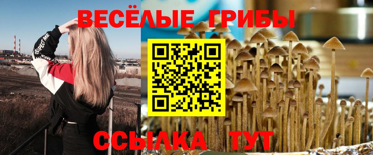Галлюциногенные грибы прущие грибы Полевской